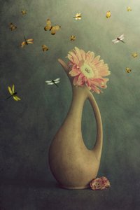  door Cicek Kiral