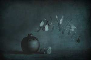  door Cicek Kiral