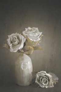  door Cicek Kiral