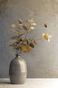  door Cicek Kiral