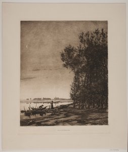 Bomen bij een Binnenmeer
