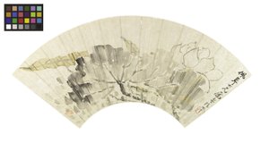 Lotusbloem en Bladeren
