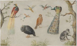 Studie van vogels en aap door Circle of Jan van Kessel the Elder