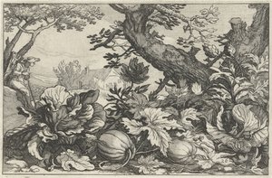 Landschap met pompoenen en kolen