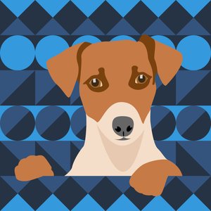 Azteekse hond