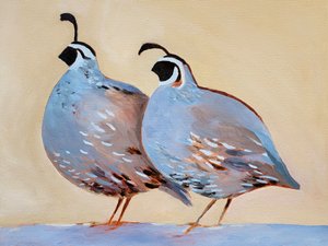 Charmant kwartelpaar door Claire Whitehead