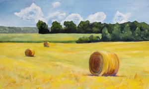  door Claire Whitehead