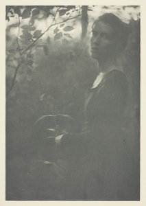 Rand van het Bos