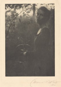 Rand van het bos, 