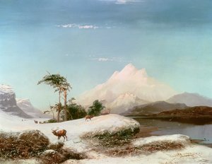 Schotse Hooglanden, 1873