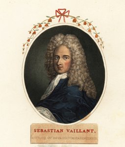 Portret van Sebastian Vaillant, Franse botanicus