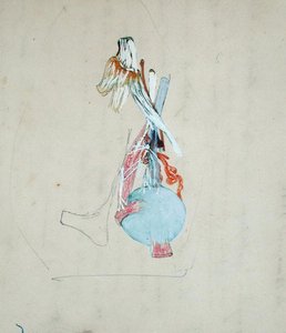 Zenuwstelsel in het hoofd van een kat, 25 mei 1842 door Claude Bernard
