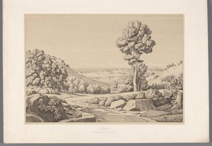 Landschap met weg
