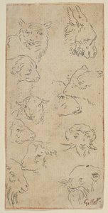 Studie van dierenhoofden door Claude Gillot