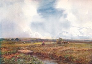 Het hooiveld, 1872-1906, 1906