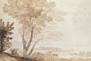 Landschap