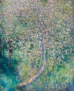 Bloeiende appelbomen aan de waterkant