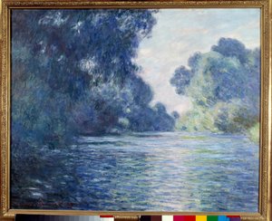 Arm van de Seine nabij Giverny