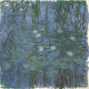 Blauwe Nympheas