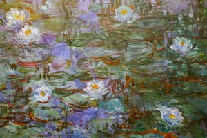Blauwe waterlelies (detail)