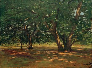 Bos van Fontainebleau