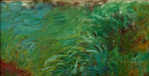 Waterplanten