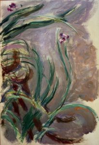 Iris door Claude Monet