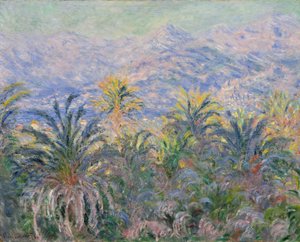 Palmbomen in Bordighera