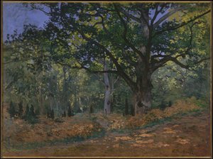 De Bodmer Eik, Fontainebleau Bos door Claude Monet