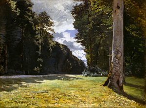 De Chailly-weg door het bos van Fontainebleau