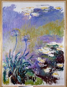 De agapanthus door Claude Monet
