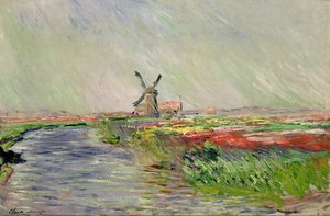 Tulpenveld in Nederland