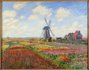 Tulpenvelden in Nederland (met een windmolen)