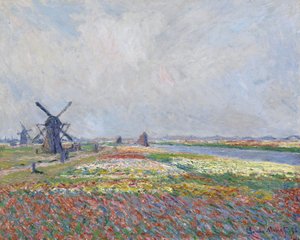 Tulpenvelden bij Den Haag
