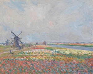 Tulpenvelden in de buurt van Den Haag