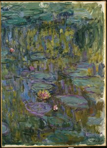 Waterlelies door Claude Monet