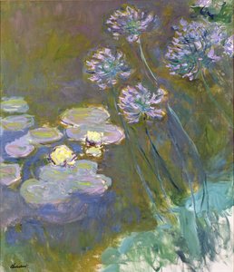 Waterlelies en Agapanthus door Claude Monet