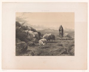 Herderin met schapen op de vlakte van Cantal