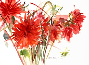 Dahlias, 2002
