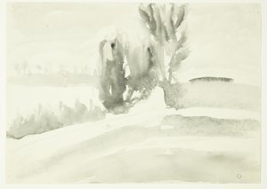Landschap met bomen door Claus Johansen