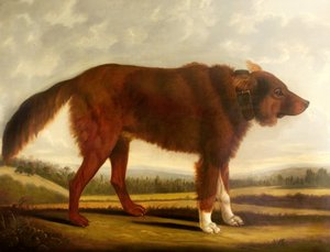 Lord Byrons hond Lyon (De wolfshond), 1808
