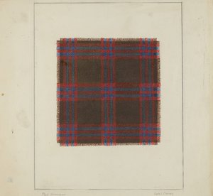 Geruite Homespun door Clyde L. Cheney
