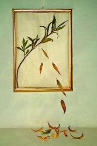  door Codruta Georgescu