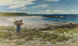 De Zanden van White Hills door Colin Hunter
