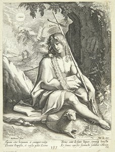 Johannes de Doper in de woestijn