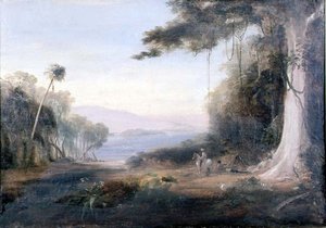 Een Illiwara Meer Landschap