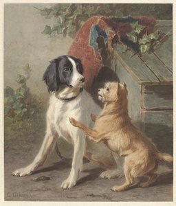 Twee honden bij een hok