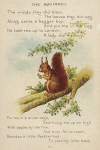 Kinderliedje: De Eekhoorn