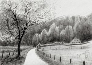 Kronkelend landweggetje