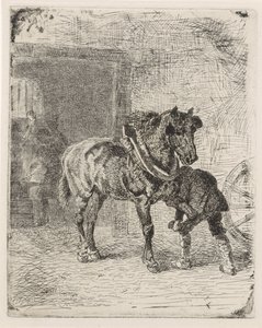 Paard krijgt hoefijzers in een smederij